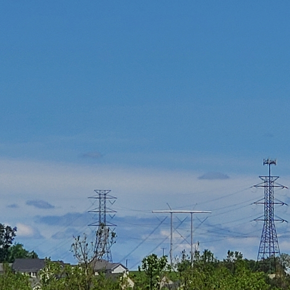 Blue - Picture 3 of 5